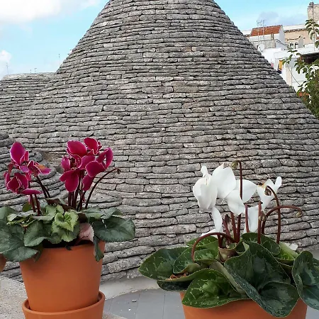 Historich House Largo Martellotta 44 *