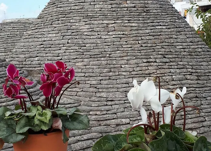 Historich House Largo Martellotta 44 *